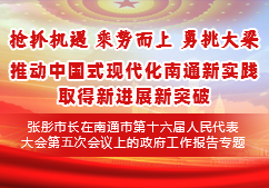  2025年政府工作报告专题